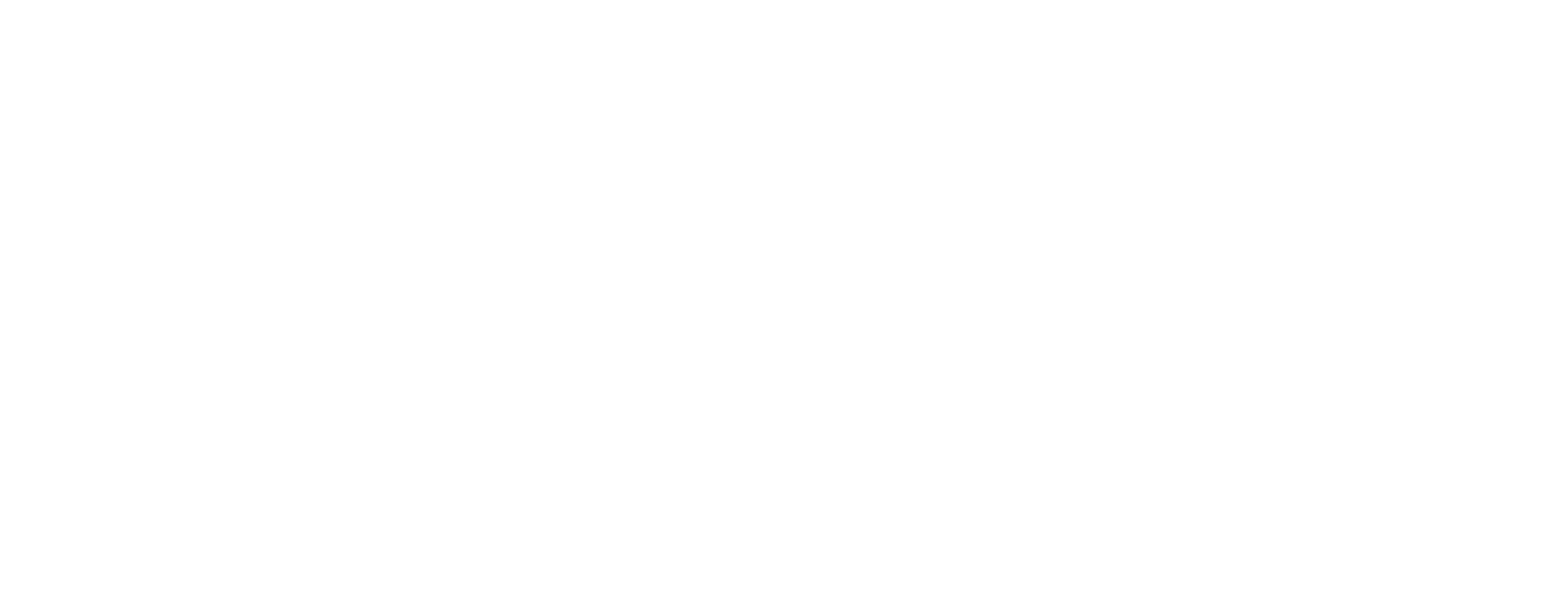 Logo CFI